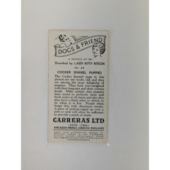 Vtg Cocker Spaniel Photos Framed Dogs and Friend Black White Lady Kitty Ritson - Picture 5 of 8